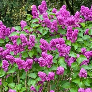 Bundle 2 or more items and get free shipping!